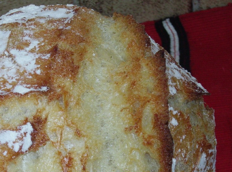 pain blanc sans petrissage aux lait et miel 3