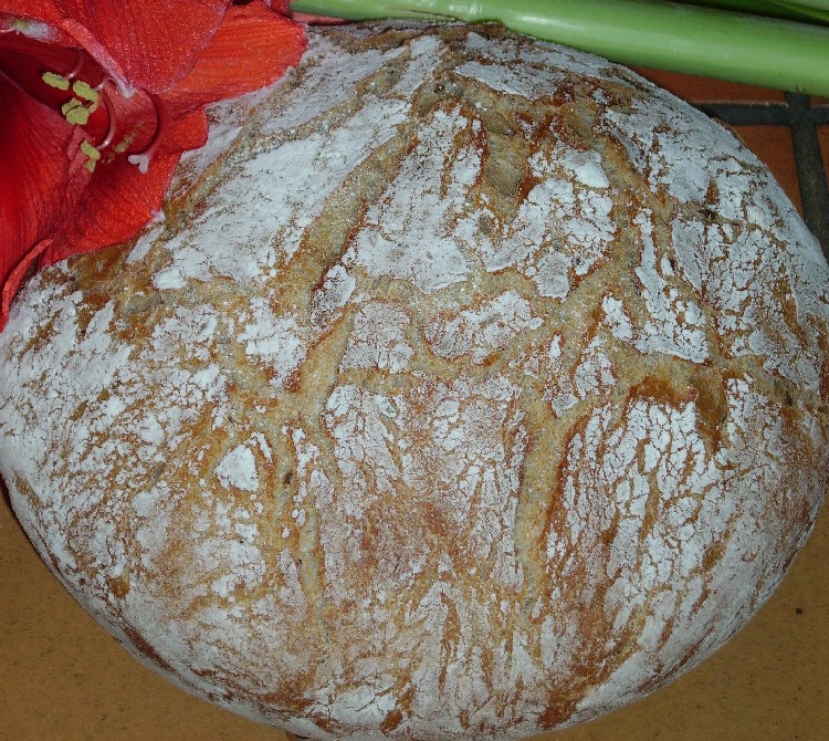 pain complet à la farine d`orge 5